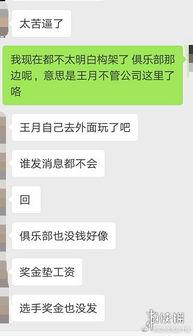 娱乐爆料君怎么不见了,幕后真相揭秘  第3张
