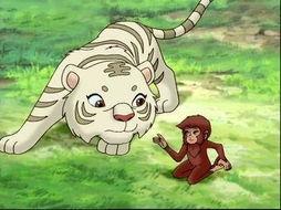 小虎还乡在线观看,乡愁与成长的交织之旅  第1张